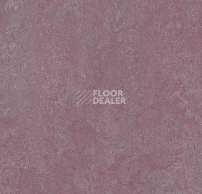 Линолеум Forbo Marmoleum Marbled Real 3272 Plum фото 1 | FLOORDEALER